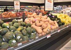 Large overview of different squash varieties.